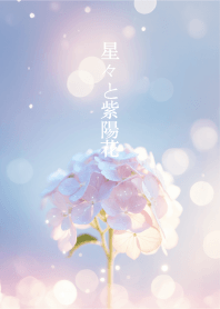 Stars and hydrangeas