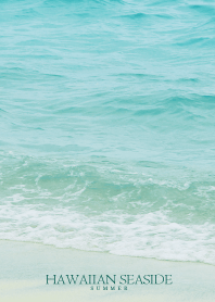 HAWAIIAN-SEASIDE SHELL- 26