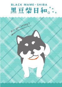 Black Mameshiba Days