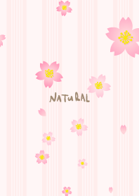 Cherry blossom dance season9 from Japan