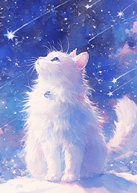 ⭐仰望閃耀星空的藍鑽貓❤️
