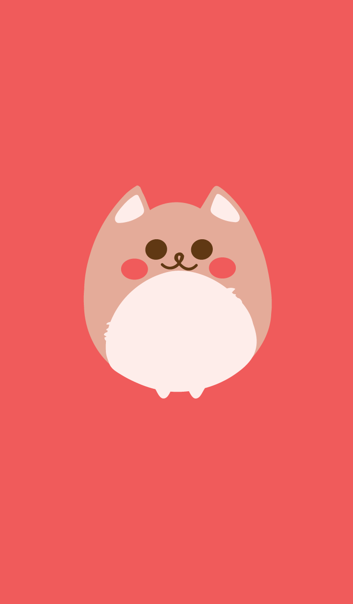 Cute dog 6 :)