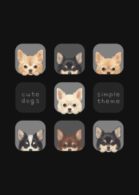 DOGS - Chihuahua L - BLACK/GRAY