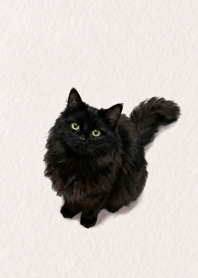 Black Cat Beige theme