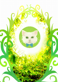 緑と白い猫