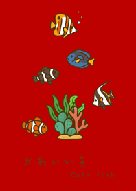 My marine fish(red)