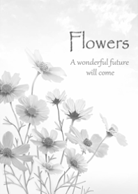 The gentle scent of cosmos6.