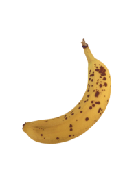 BANANA!!!!!
