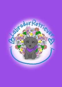 Labrador-B and Flower Illustration Theme
