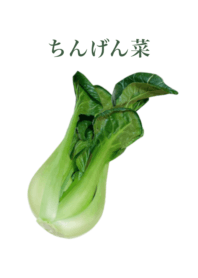 Bok choy 12