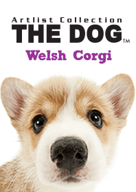 THE DOG Welsh Corgi