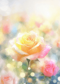 Beautiful rose flower(R1581)