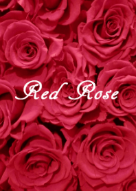 薔薇着せかえ 赤×ピンク