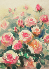 Beautiful rose flower(R4442)