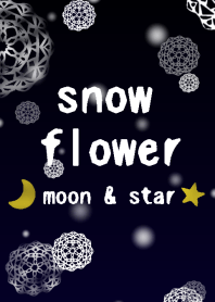snow flower -moon & star-