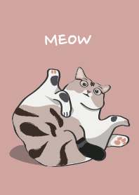 DJ house cat feet pink