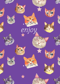 we are cats on purple