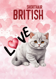 British Shorthair InLove Theme