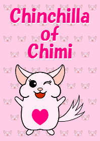 Chinchilla of Cheemi