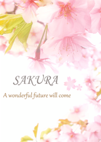 cherry blossoms that bring happiness.2.