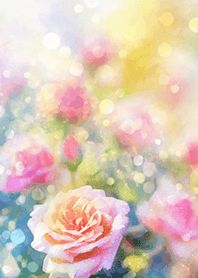 Beautiful rose flower(R2888)