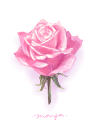 ROSE by maya