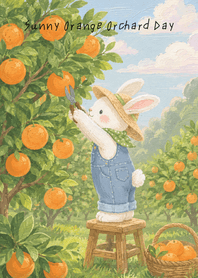 Sunny Orange Orchard Day