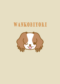 WANKOBIYORI(Cavalierkindscharlesspaniel)