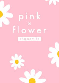 Pink x Flower (chamomile)
