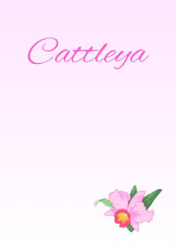 Flower series Cattleya