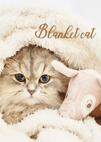 Blanket cat