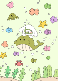 Little Pastel Shark3