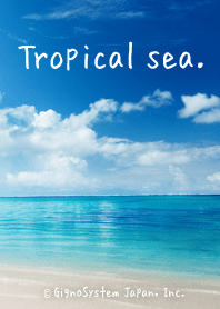 Tropical sea from Japan
