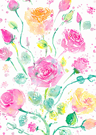 Beautiful rose flower(R4978)