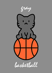 black cat sitting on a basketball grayA