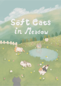 Soft Cats in Meadow