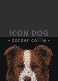 ICON DOG - ボーダーコリー - BLACK/04