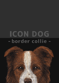 ICON DOG - Border Collie - BLACK/04