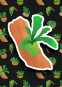 Cool green plants,bat orchid