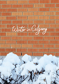 Winter in Calgary (25)