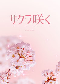 サクラ咲く -ピンク-