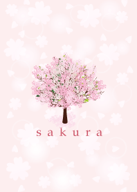 Sakura in spring 7