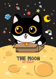 แมวเหมียว บนพระจันทร์ ไนท์