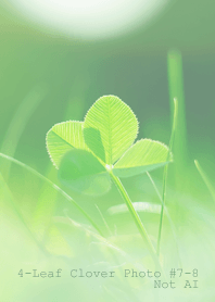 4leaf Clover Photo #7-8 Not AI