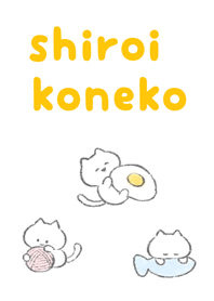 白いこねこきせかえ