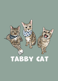 tabbycat2 / dusty green