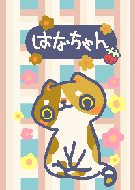 小花哈娜醬