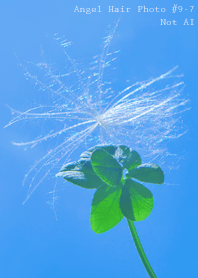 Angel Hair Photo#9-7Not AI