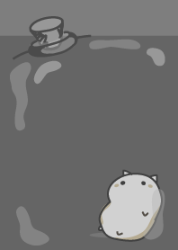 cat staring -17