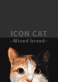 ICON CAT - Mixed breed cat - BLACK/06